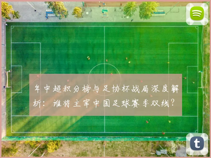 年中超积分榜与足协杯战局深度解析：谁将主宰中国足球赛季双线？